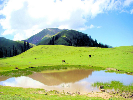 thmb5321Banjosa Lake , Azad Kashmir.jpg